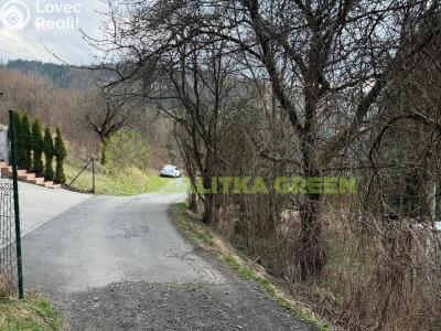 Sale hut Vsetín, Hanžlov II č. 15