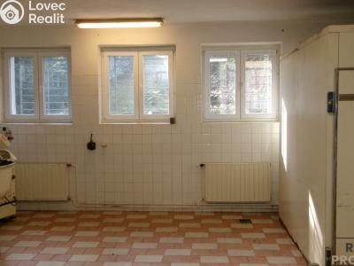 Pronájem skladového prostoru Střelice č. 1