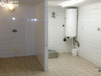 Pronájem skladového prostoru Střelice č. 4