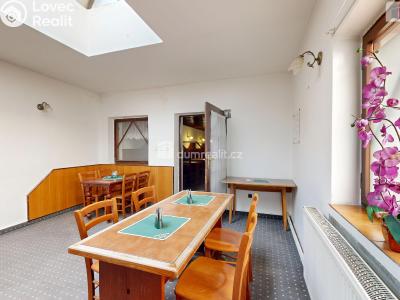 Аренда коммерческой недвижимости Opava, Ostrožná č. 15