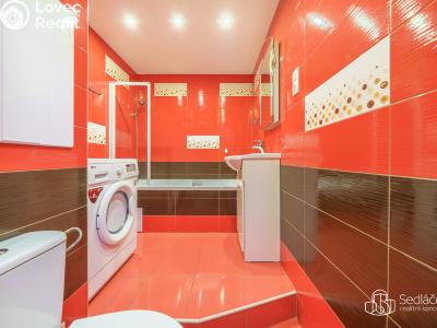 Sale apartment 4+1 Sokolov, Alšova č. 9