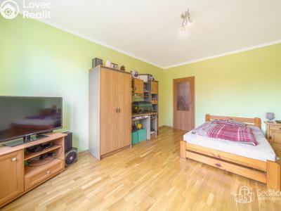 Sale apartment 4+1 Sokolov, Alšova č. 15