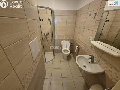 Pronájem bytu 2+1 Aš, Příbramská č. 9