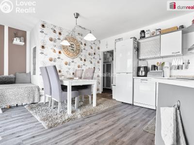 Prodej rodinného domu Ostrov, Krušnohorská č. 14