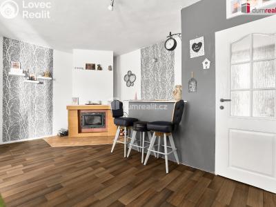 Prodej rodinného domu Ostrov, Krušnohorská č. 21