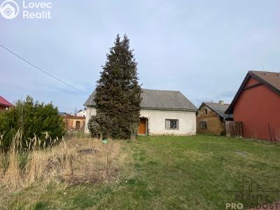 Prodej rodinného domu Dlouhá Loučka, Úzká č. 5