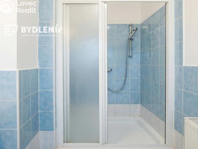 Pronájem bytu 1+KK Děčín, Teplická 62 č. 2