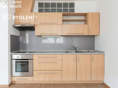Pronájem bytu 1+KK Děčín, Teplická 62 č. 3