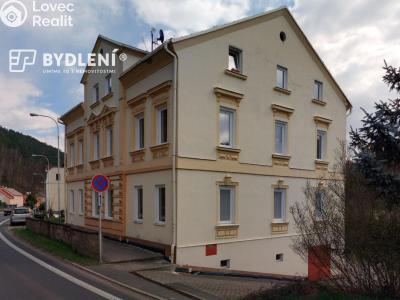 Pronájem bytu 1+KK Děčín, Teplická 62 č. 5