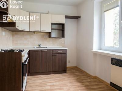 Pronájem bytu 2+1 Krupka, Sídliště č. 4