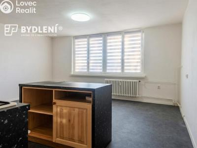 Pronájem bytu 4+KK Meziboří, J. A. Komenského 291 č. 3