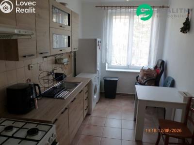 Rent apartment 1+1 Most, Josefa Skupy č. 1