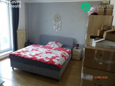 Rent apartment 1+1 Most, Josefa Skupy č. 3