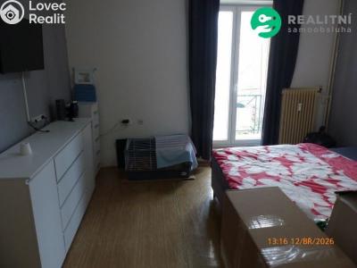 Rent apartment 1+1 Most, Josefa Skupy č. 4