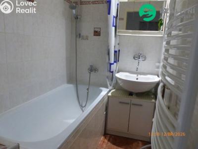 Rent apartment 1+1 Most, Josefa Skupy č. 8