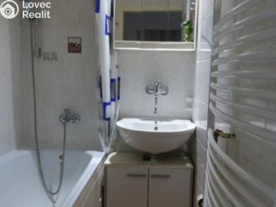 Rent apartment 1+1 Most, Josefa Skupy č. 9