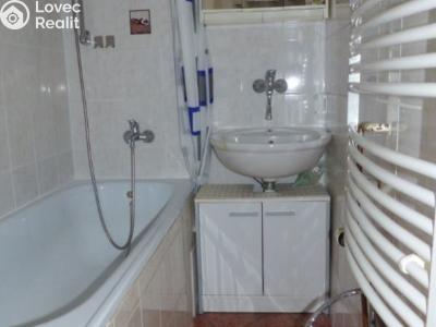 Rent apartment 1+1 Most, Josefa Skupy č. 10