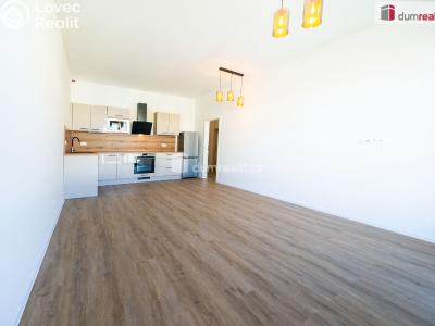Pronájem bytu 2+KK České Budějovice, Branišovská č. 12