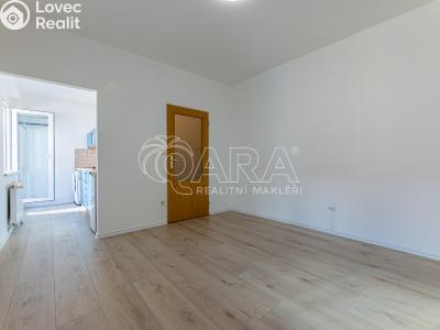 Pronájem bytu 1+KK Praha č. 7
