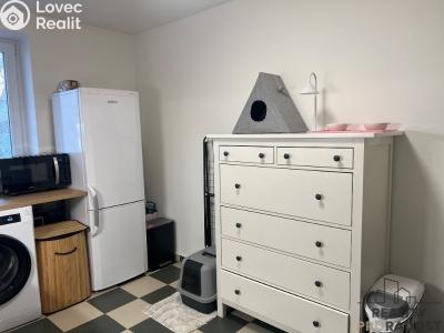 Pronájem bytu 1+1 Ústí nad Labem, Bratislavská č. 10