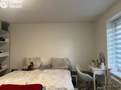 Pronájem bytu 1+1 Ústí nad Labem, Bratislavská č. 12