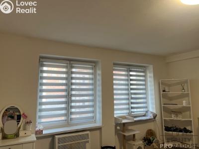 Pronájem bytu 1+1 Ústí nad Labem, Bratislavská č. 13