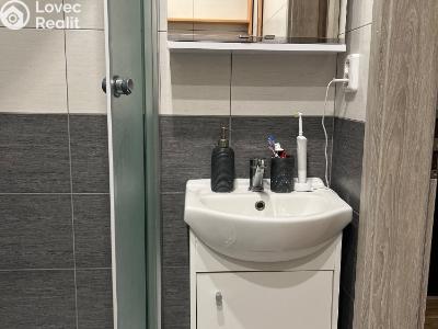 Pronájem bytu 2+1 Ústí nad Labem, Studentská č. 15