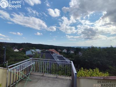 Продажа многогенного дом Brno, Odlehlá č. 18