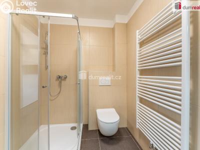 Продаж сімейного будинку Kostelec č. 18