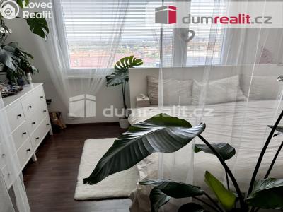 Pronájem bytu 2+1 Roudnice nad Labem, Alej 17. listopadu č. 10