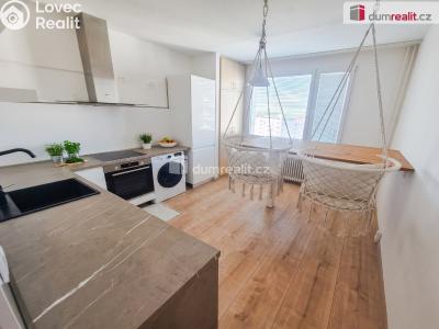 Pronájem bytu 2+1 Roudnice nad Labem, Alej 17. listopadu č. 11