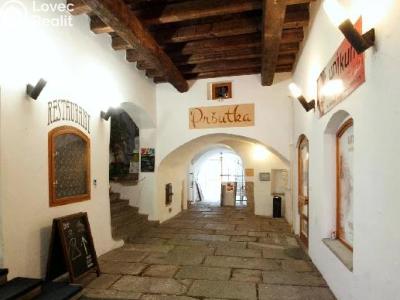 Pronájem restaurace České Budějovice, Česká č. 13
