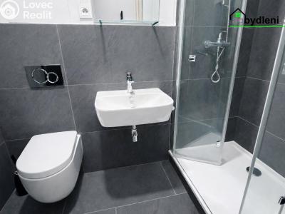 Pronájem bytu 2+KK Plzeň, Kotkova č. 1