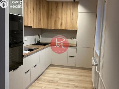 Pronájem bytu 2+KK Ostrava, Opavská č. 1