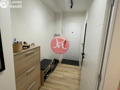 Pronájem bytu 2+KK Ostrava, Opavská č. 11