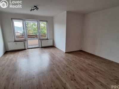 Pronájem bytu 2+1 Ústí nad Labem, Elišky Krásnohorské č. 3