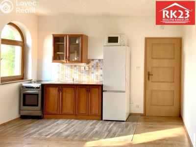 Rent apartment 1+KK Drmoul č. 12