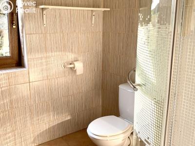 Rent apartment 1+KK Drmoul č. 7