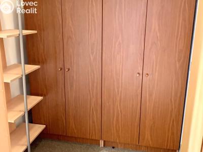 Rent apartment 1+KK Drmoul č. 11