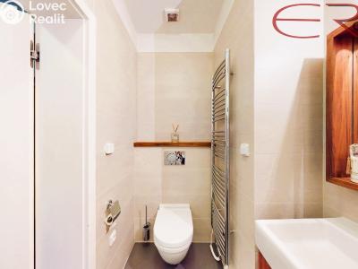 Продажа квартиры 3+KK Kořenov č. 12