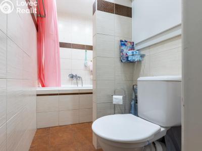 Pronájem bytu 4+KK Litoměřice, Družstevní č. 10