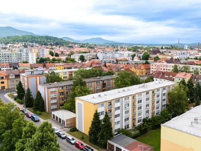 Pronájem bytu 4+KK Litoměřice, Družstevní č. 14