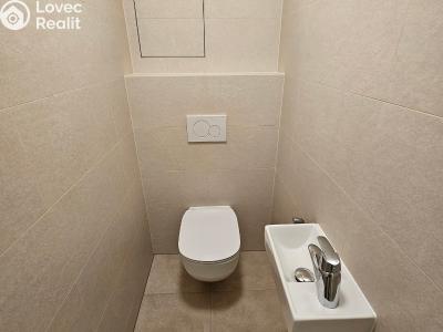 Продаж квартири 3+KK Lázně Kynžvart, Královské svahy 459 č. 12