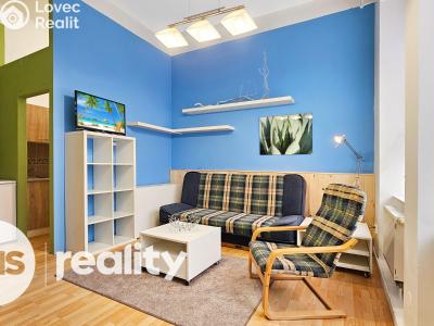 Rent apartment 1+KK Opava, Nákladní č. 1