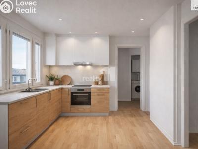 Продаж сімейного будинку Liberec, Puškinova č. 14