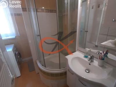 Pronájem bytu 3+KK Rožnov pod Radhoštěm, Julia Fučíka č. 13