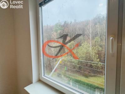 Pronájem bytu 1+KK Rožnov pod Radhoštěm, Lesní č. 7