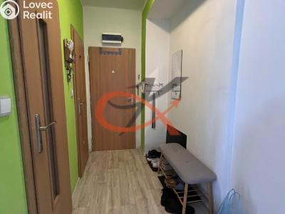 Sale apartment 2+1 Kopřivnice, Lidická č. 11