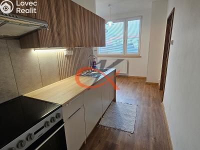 Pronájem bytu 2+1 Rožnov pod Radhoštěm, Meziříčská č. 3