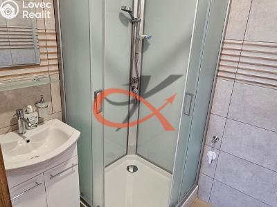 Pronájem bytu 2+1 Rožnov pod Radhoštěm, Meziříčská č. 8
